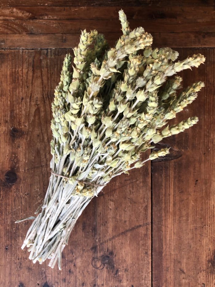bouquet de sideritis